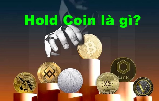 Hold Coin là gì? Cách Hold Coin hiệu quả đạt lợi nhuận cao nhất 2023