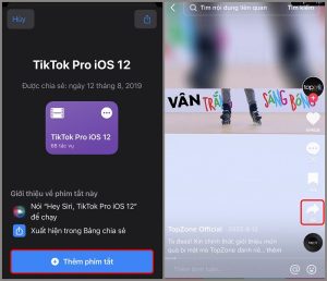 Tải video tiktok không logo trên iPhone bằng Tiktok Pro